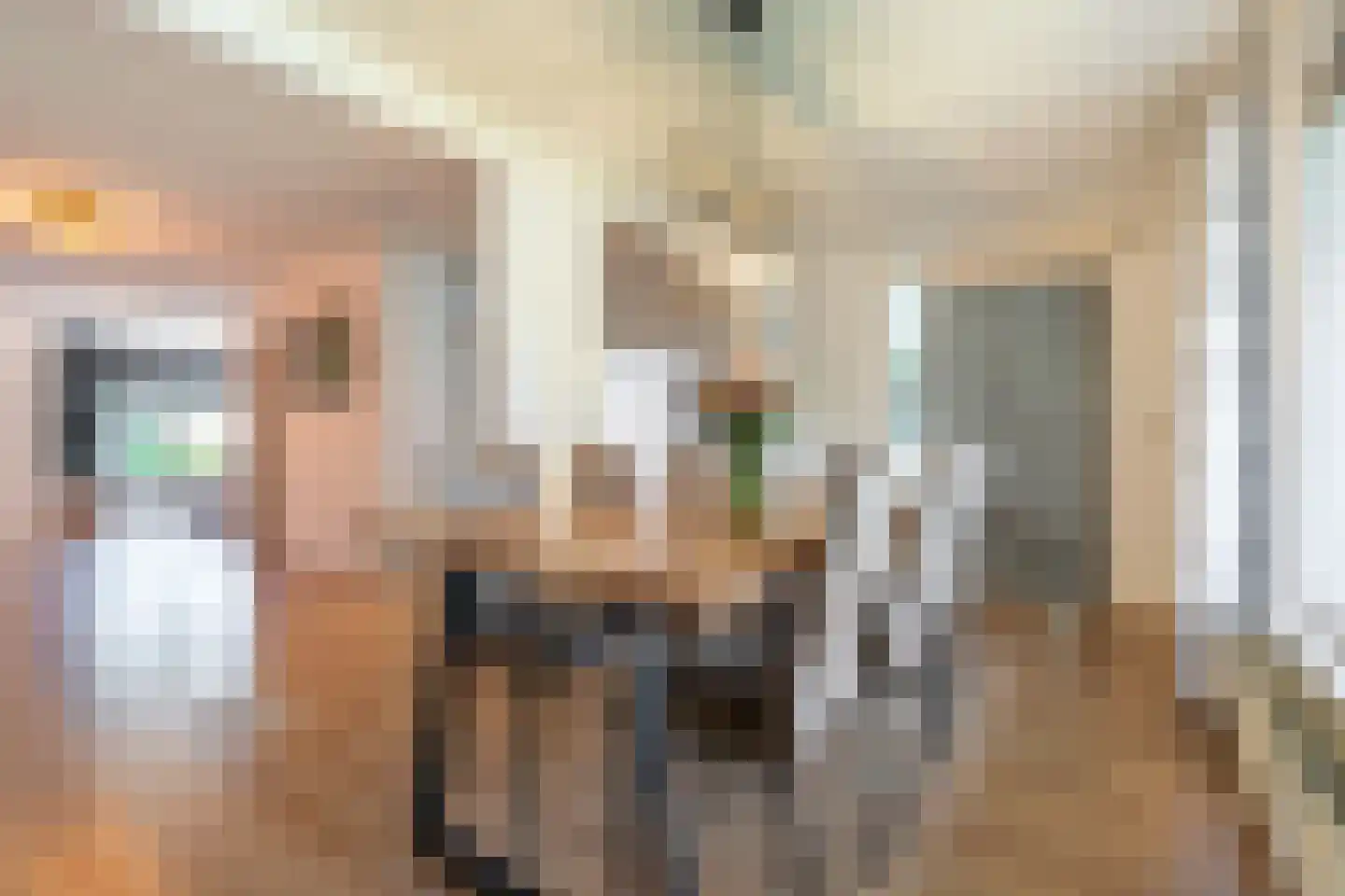 Druivelaar 2 Veghel thumbnail 18