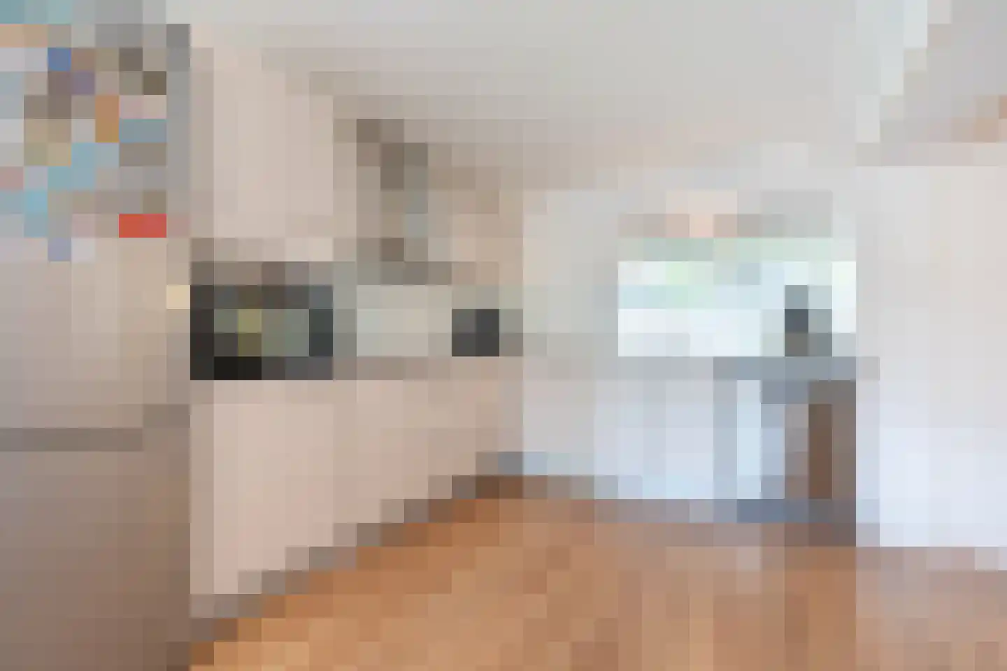 Druivelaar 2 Veghel thumbnail 22