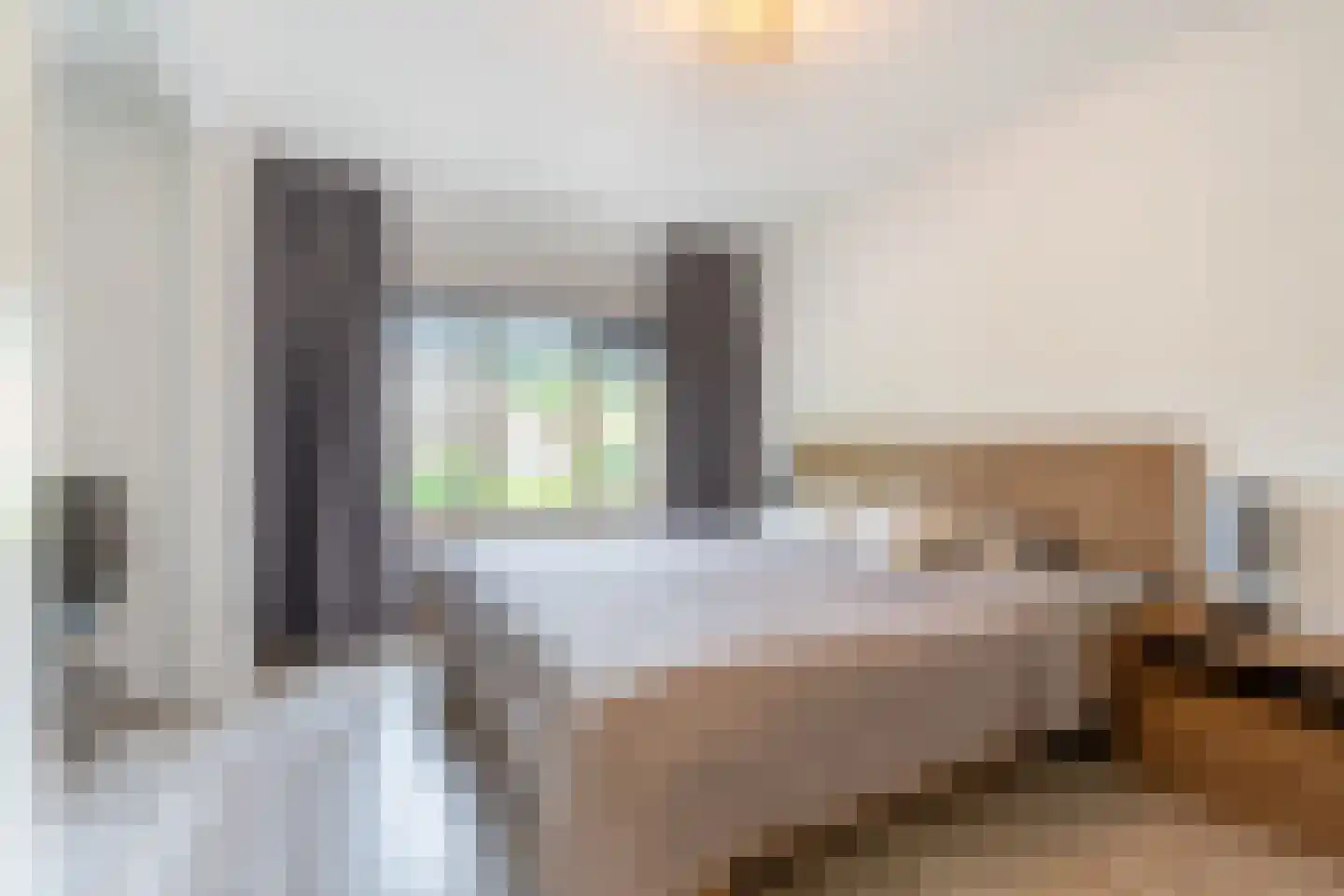 Druivelaar 2 Veghel thumbnail 28