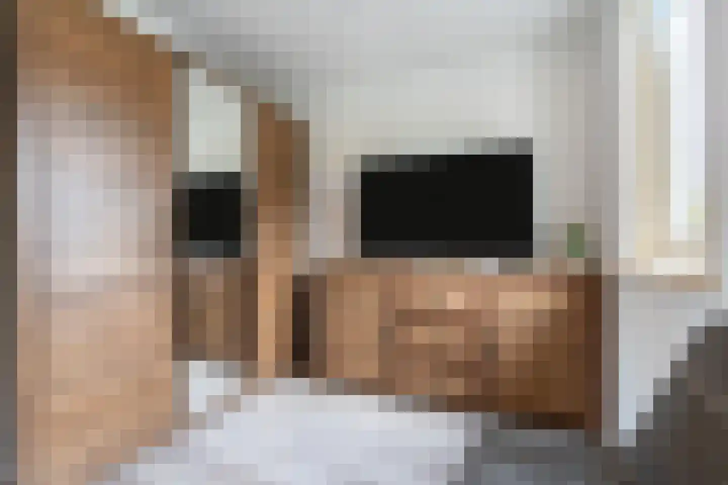 Druivelaar 2 Veghel thumbnail 30