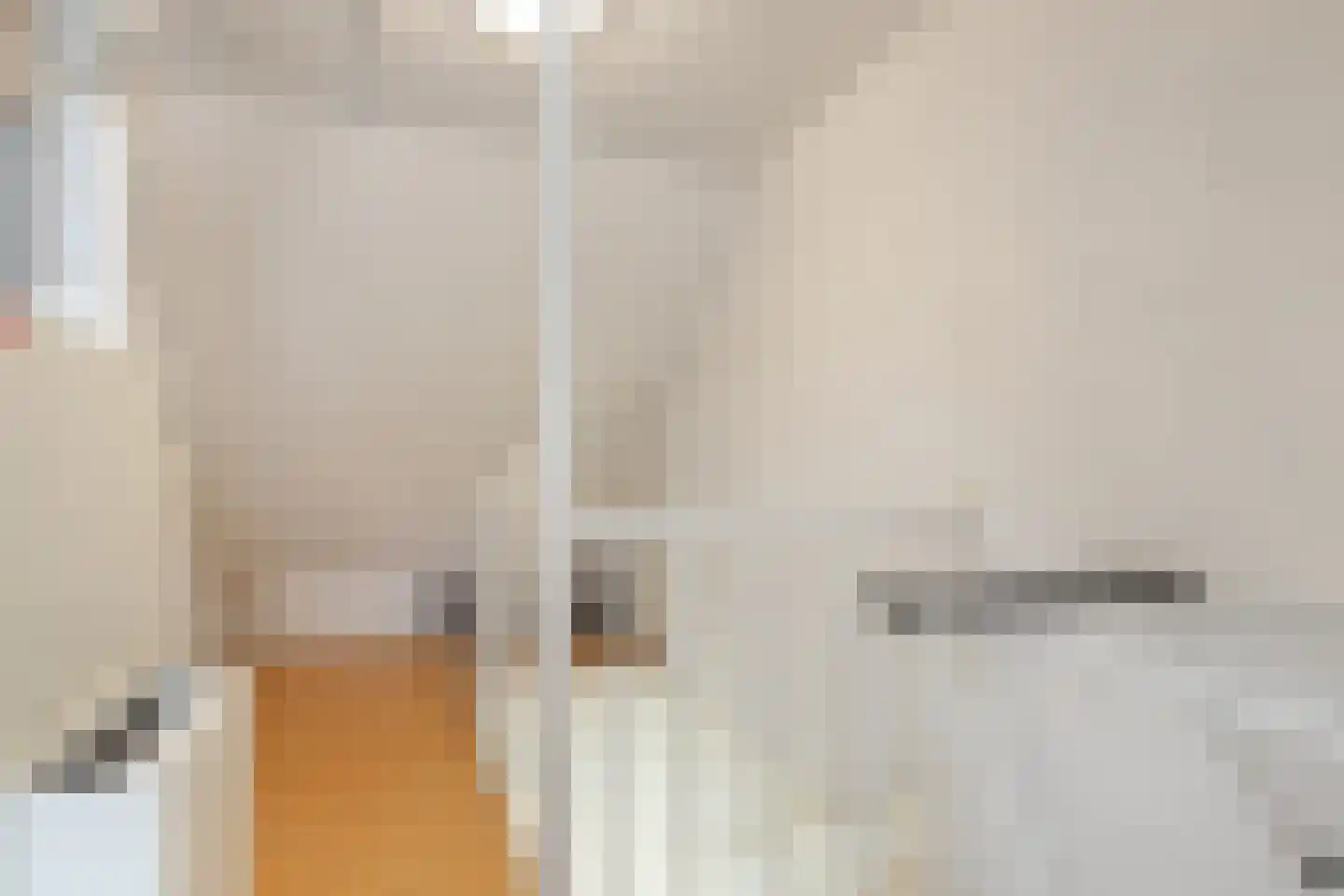 Druivelaar 2 Veghel thumbnail 31