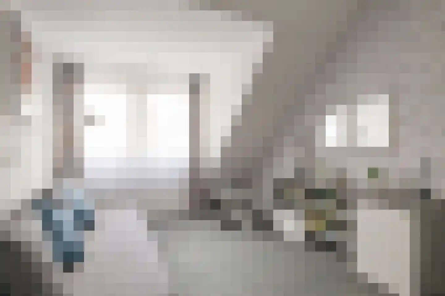 Druivelaar 2 Veghel thumbnail 32