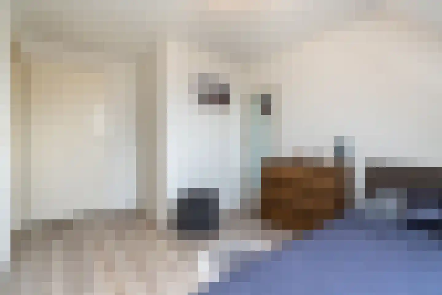 Druivelaar 2 Veghel thumbnail 32