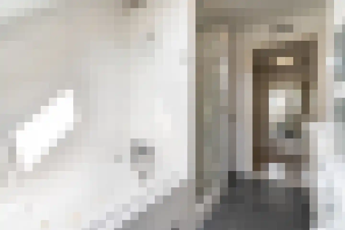 Druivelaar 2 Veghel thumbnail 34