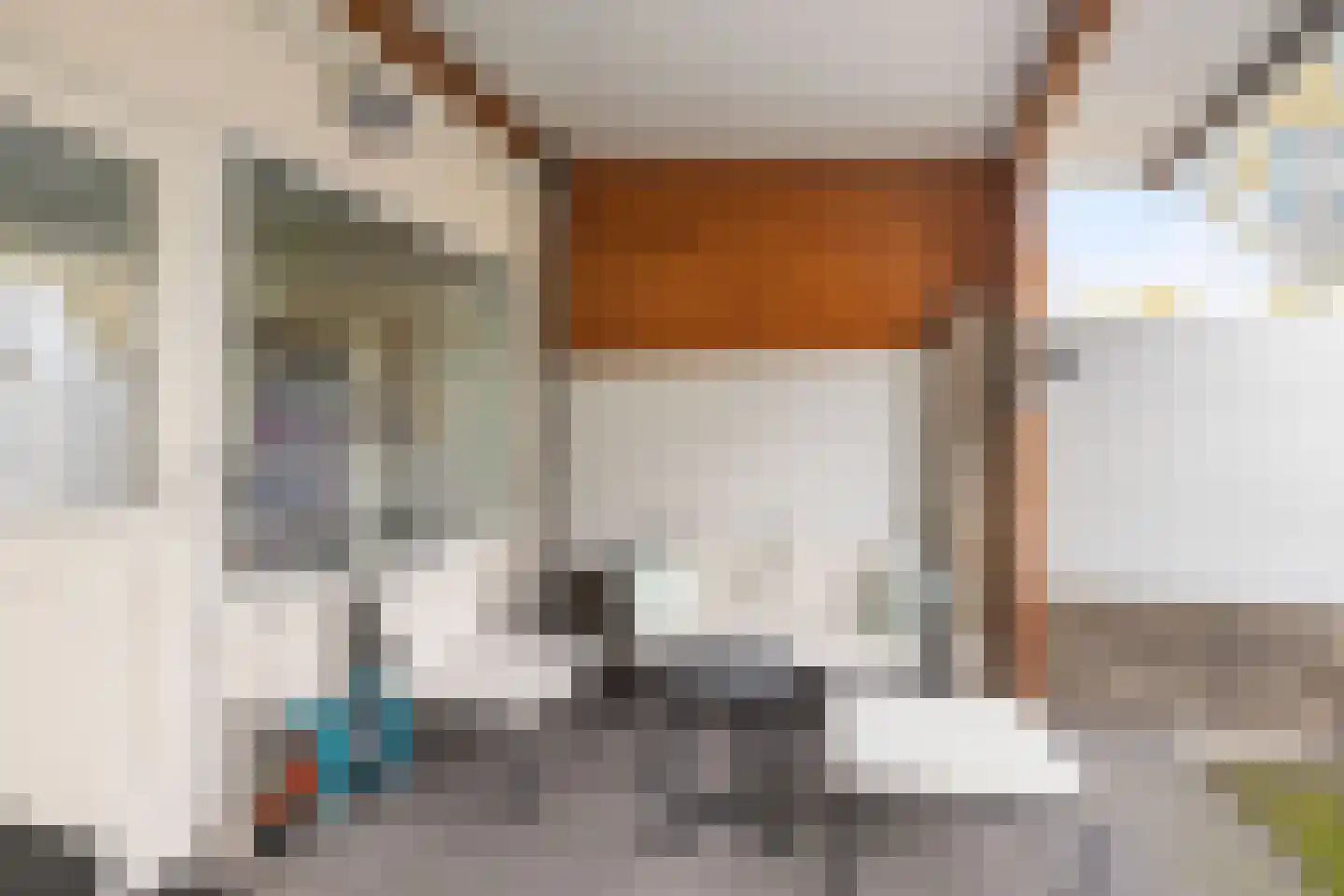 Druivelaar 2 Veghel thumbnail 36