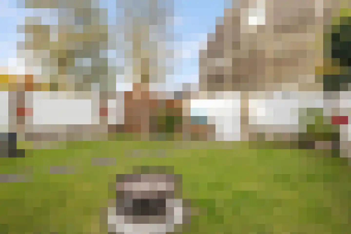 Druivelaar 2 Veghel thumbnail 37