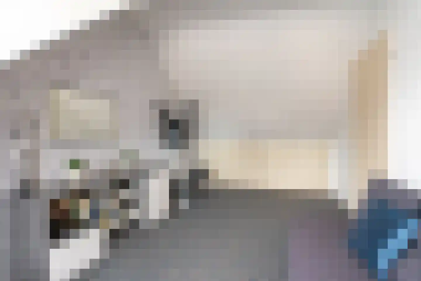 Druivelaar 2 Veghel thumbnail 37