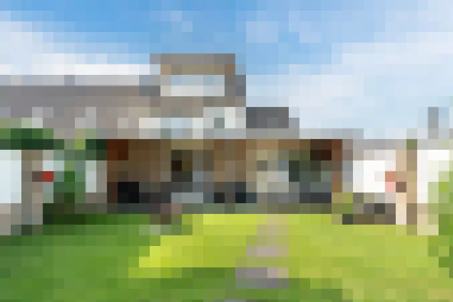 Druivelaar 2 Veghel thumbnail 38