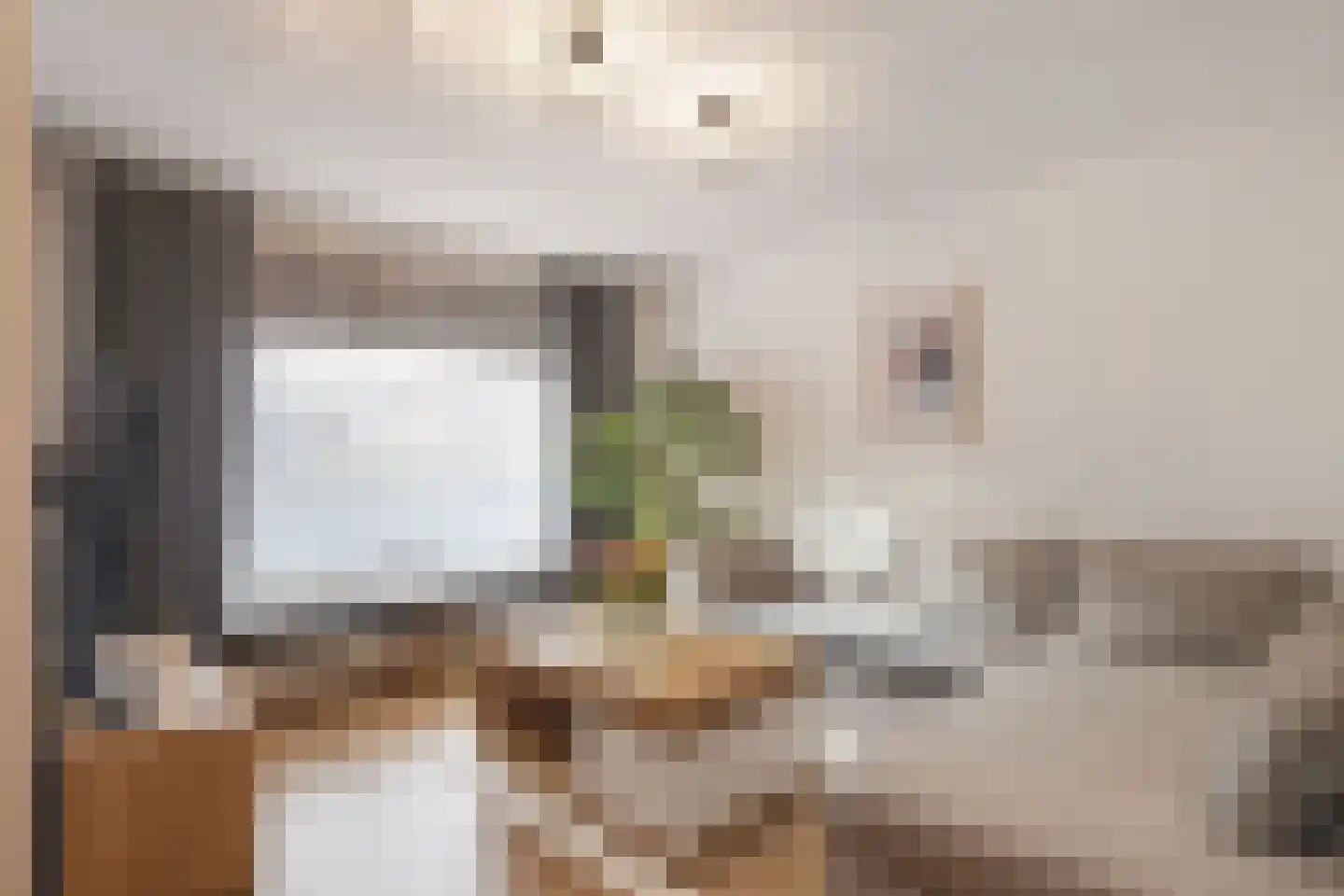 Druivelaar 2 Veghel thumbnail 4