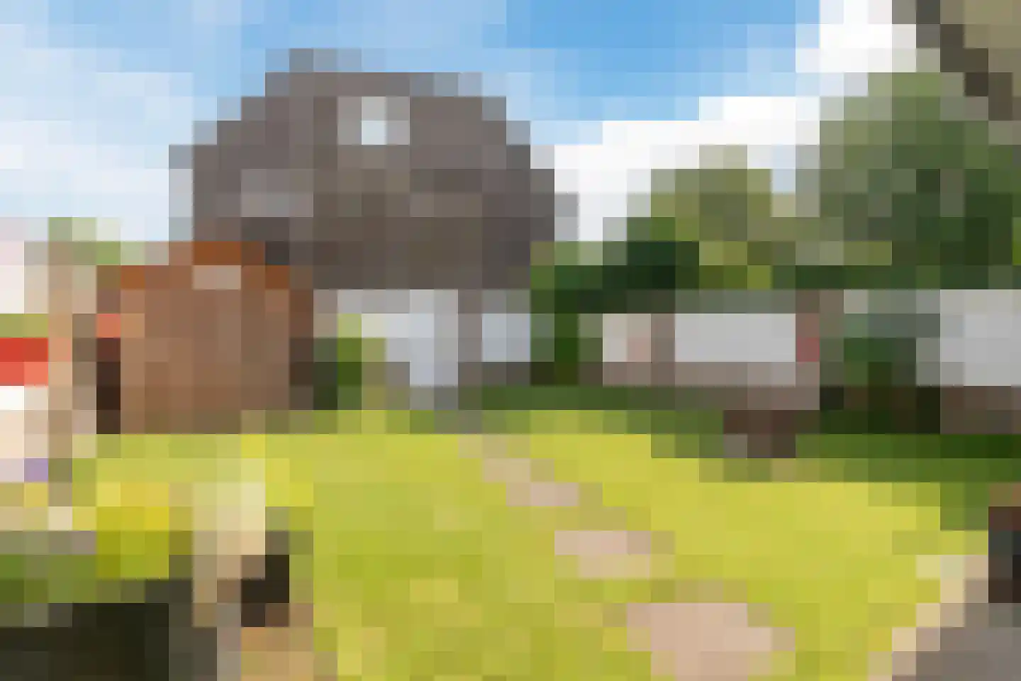 Druivelaar 2 Veghel thumbnail 40