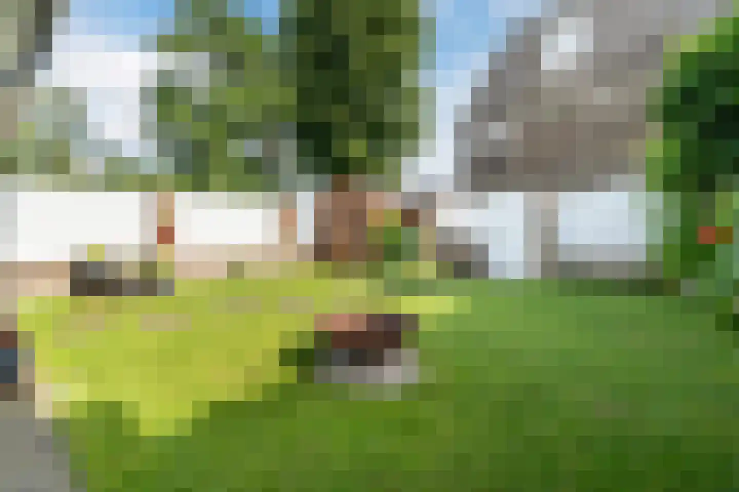 Druivelaar 2 Veghel thumbnail 41