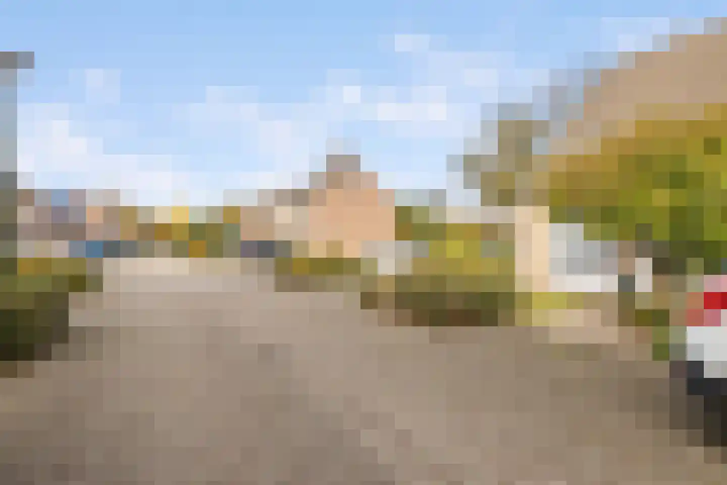Druivelaar 2 Veghel thumbnail 42
