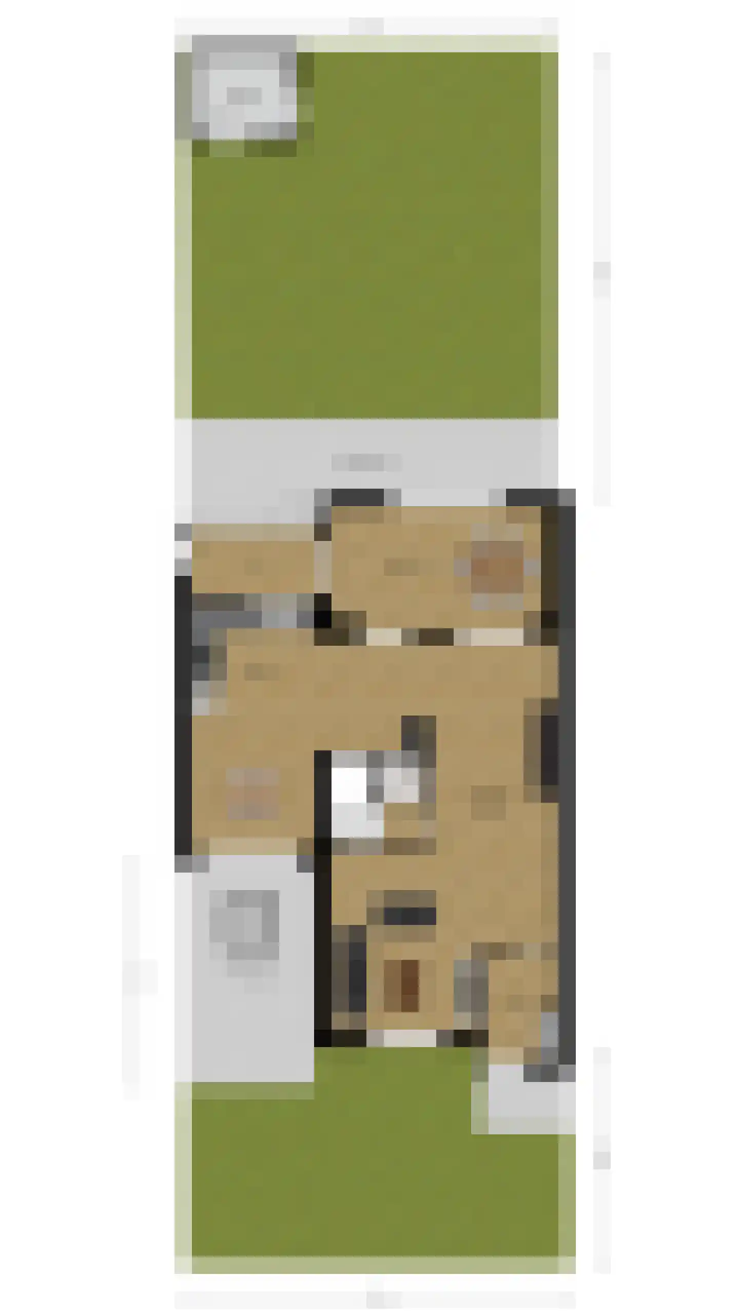 Druivelaar 2 Veghel thumbnail 45