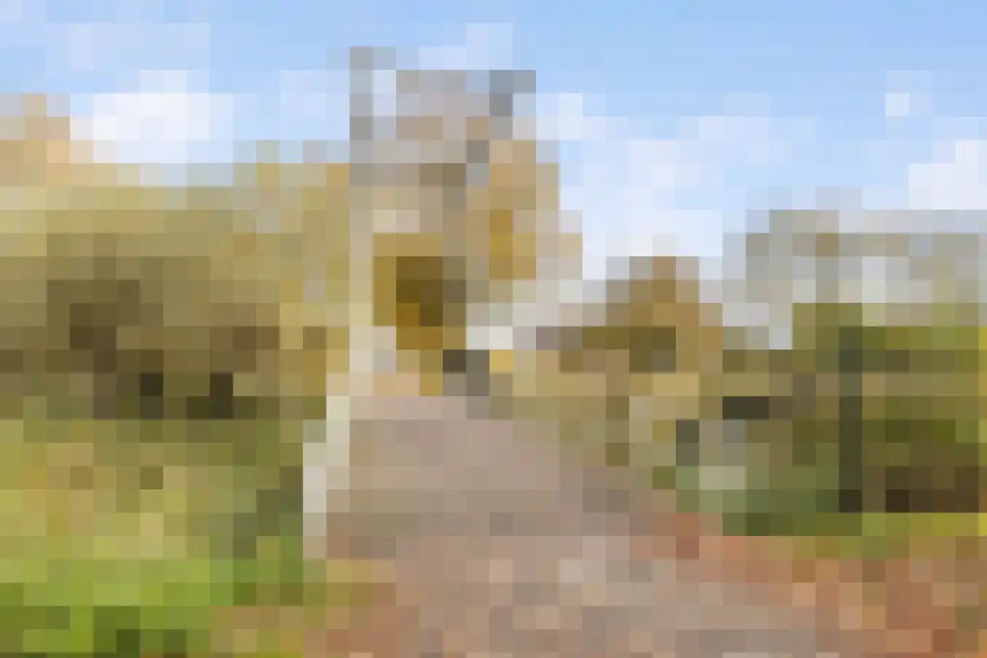 Druivelaar 2 Veghel thumbnail 48