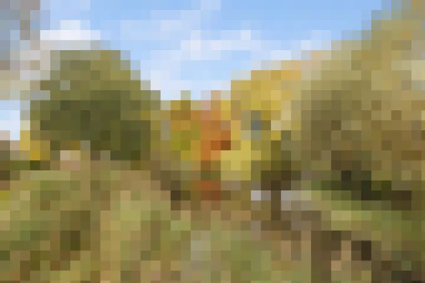 Druivelaar 2 Veghel thumbnail 49