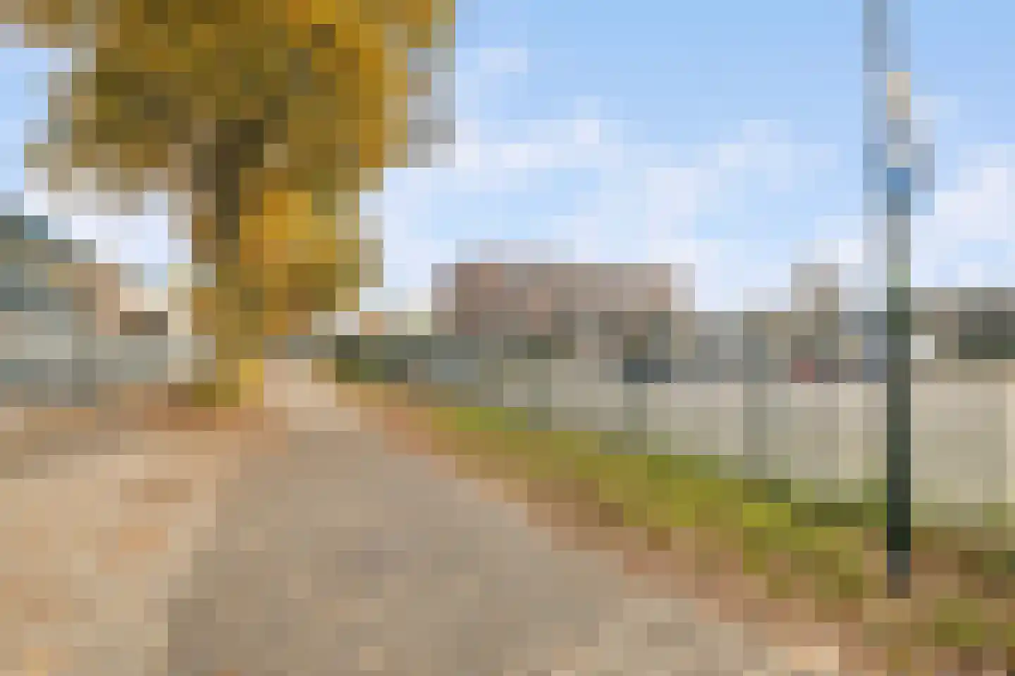 Druivelaar 2 Veghel thumbnail 50