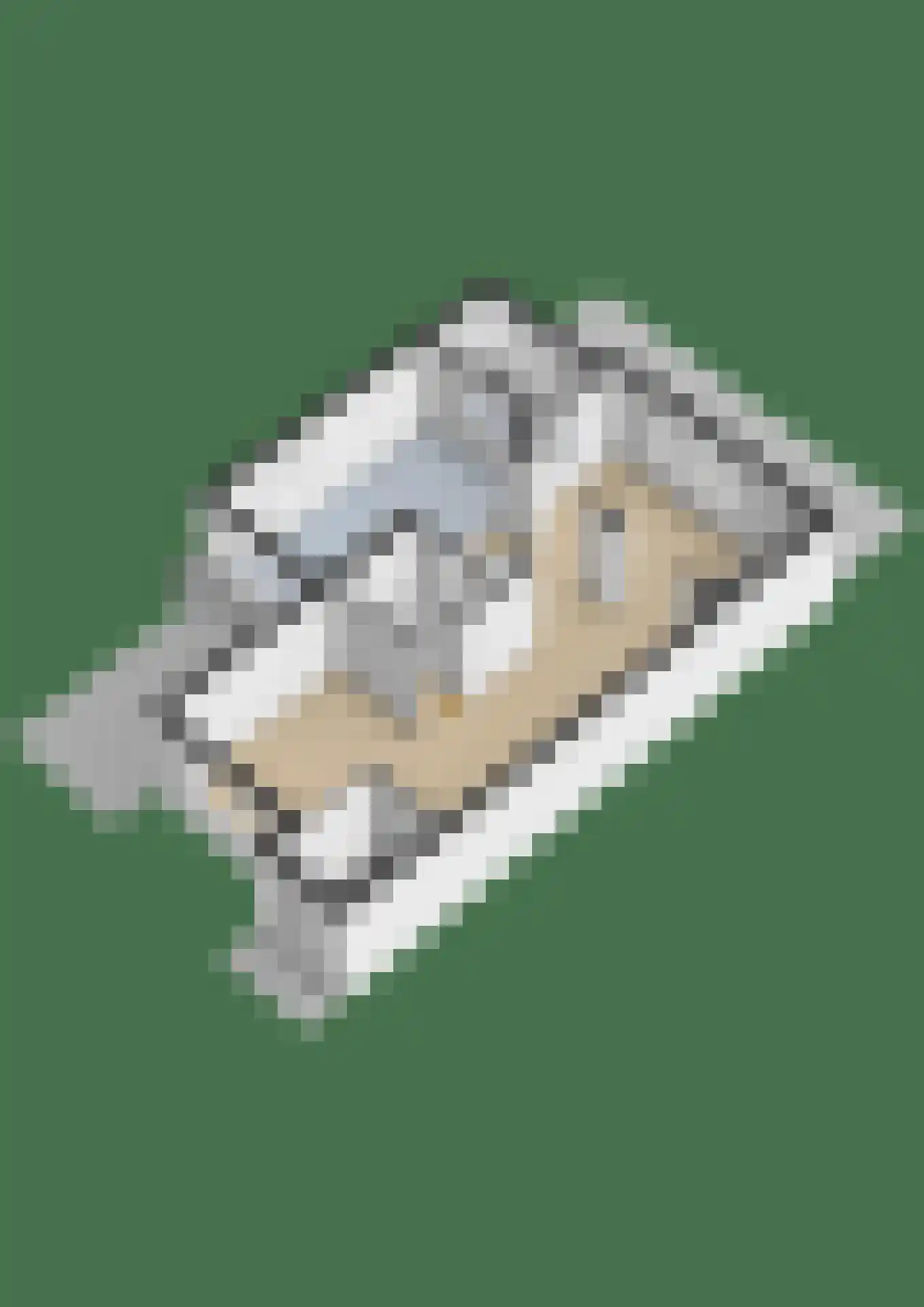 Druivelaar 2 Veghel thumbnail 52