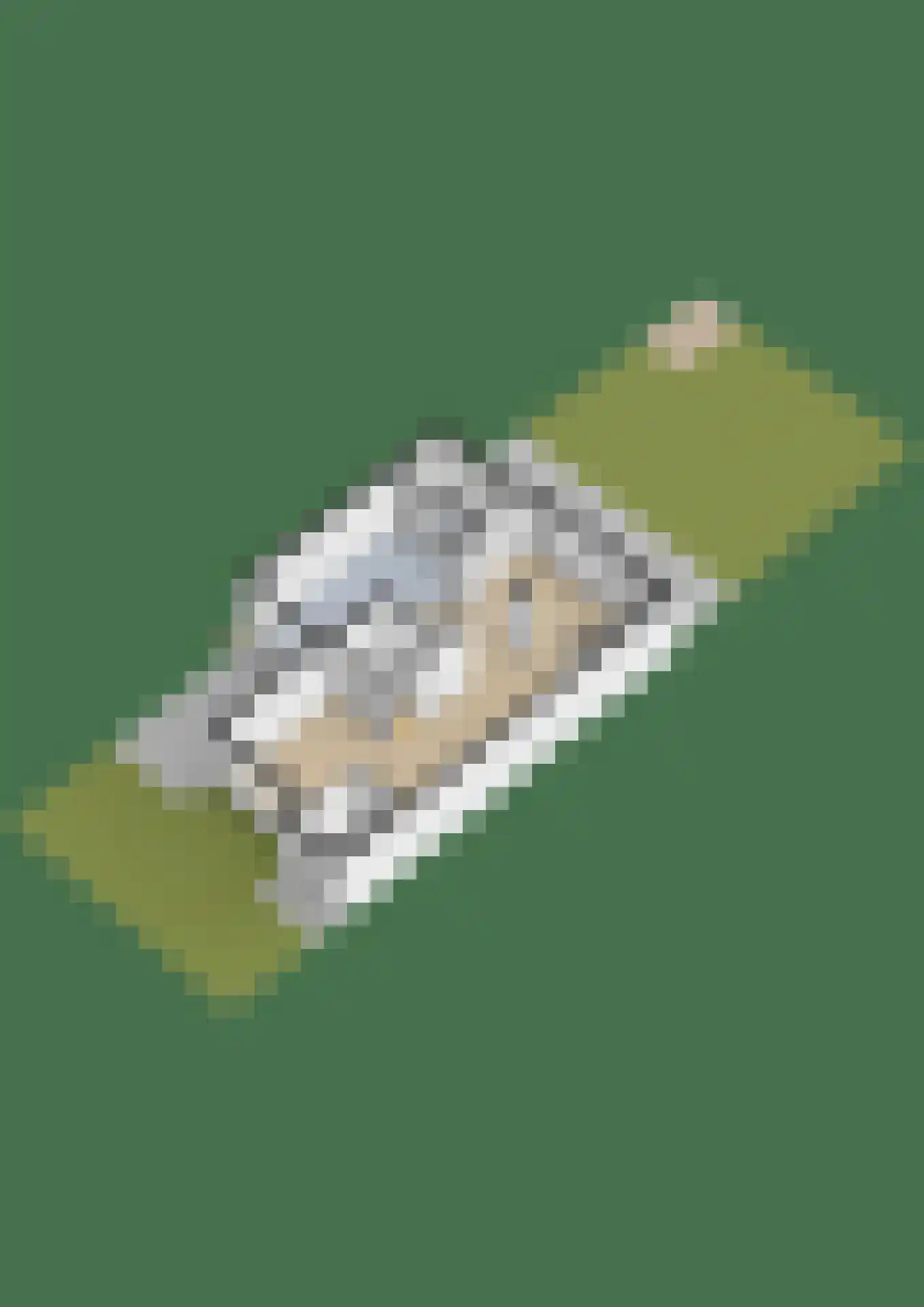 Druivelaar 2 Veghel thumbnail 58