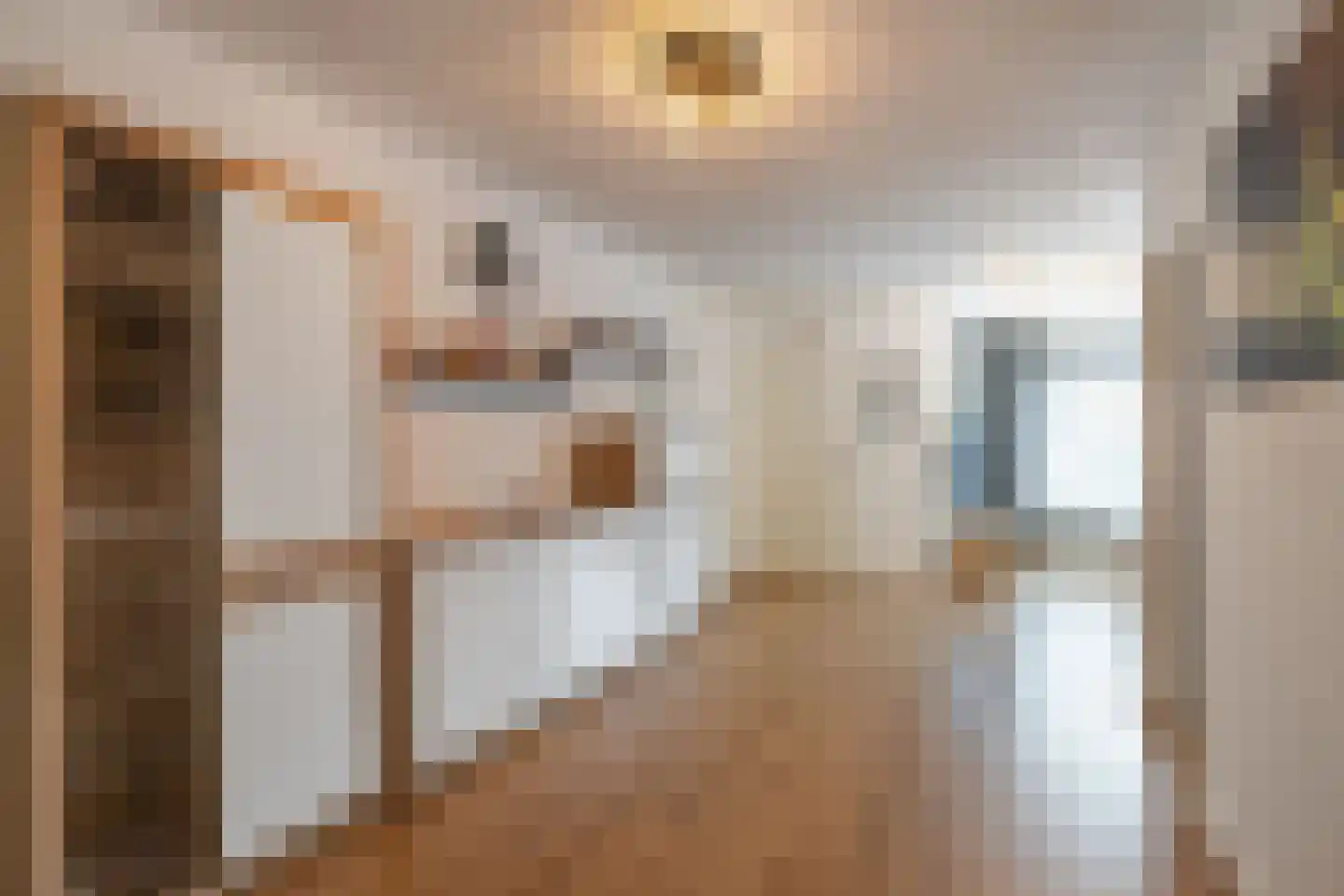 Druivelaar 2 Veghel thumbnail 7
