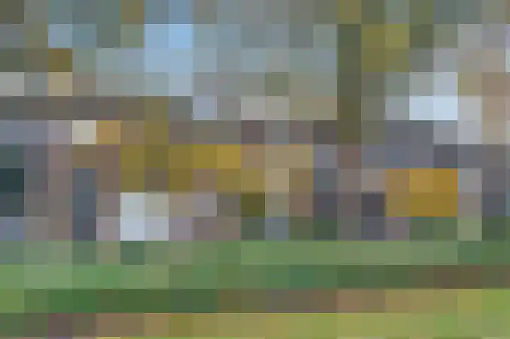 Druivenberg 11 Roosendaal thumbnail 41