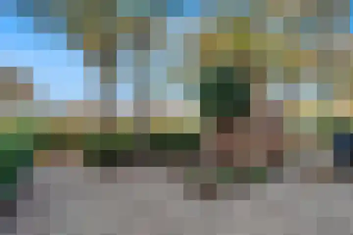 Druivenberg 11 Roosendaal thumbnail 6