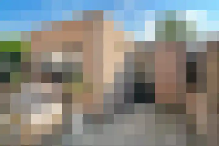 Druivenberg 13 Roosendaal thumbnail 31