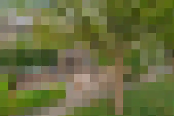 Druivenberg 13 Roosendaal thumbnail 38