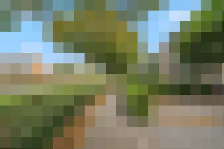 Druivenberg 13 Roosendaal thumbnail 41