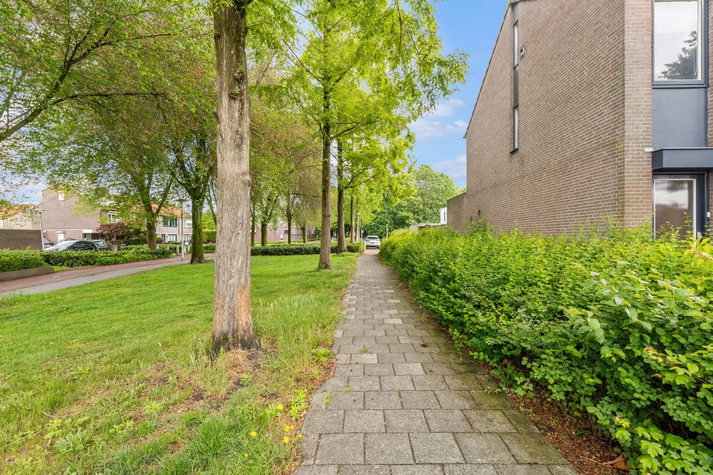 Druivenberg 33 Roosendaal thumbnail 47