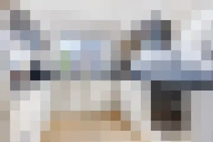 Druivengaard 14 Spijkenisse thumbnail 11