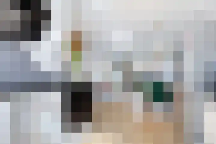 Druivengaard 14 Spijkenisse thumbnail 12