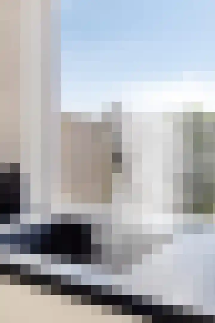 Druivengaard 14 Spijkenisse thumbnail 13