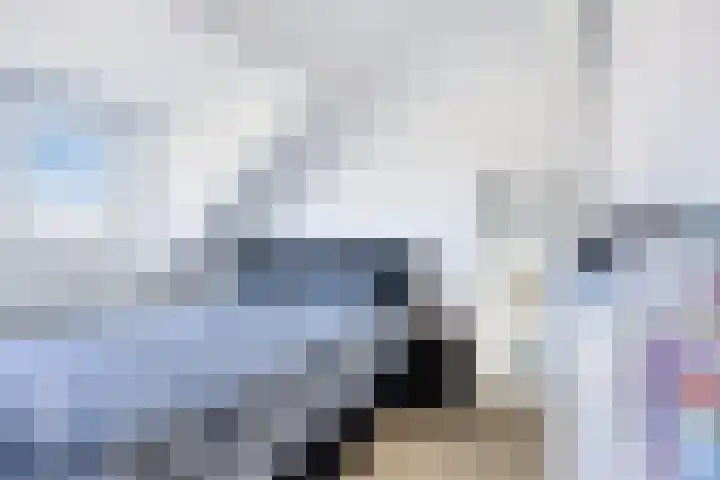 Druivengaard 14 Spijkenisse thumbnail 20