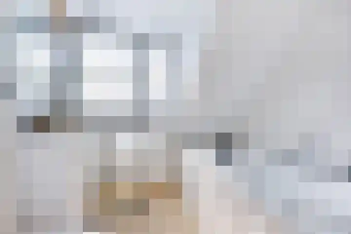 Druivengaard 14 Spijkenisse thumbnail 24