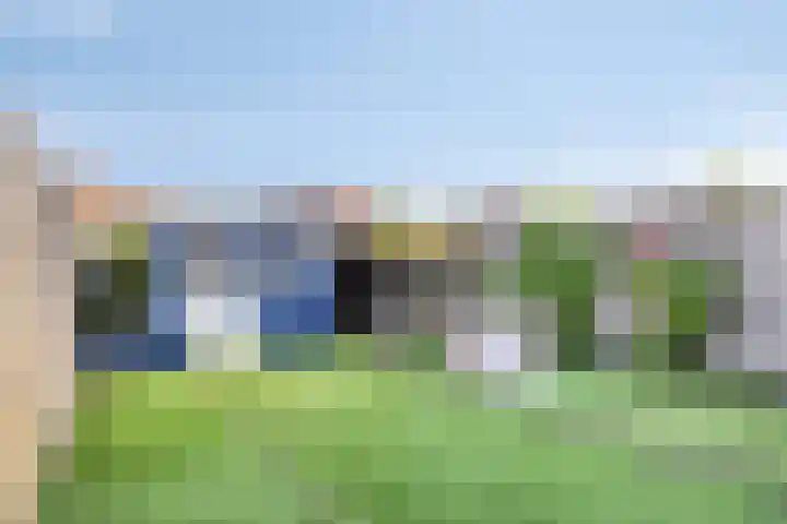 Druivengaard 14 Spijkenisse thumbnail 31