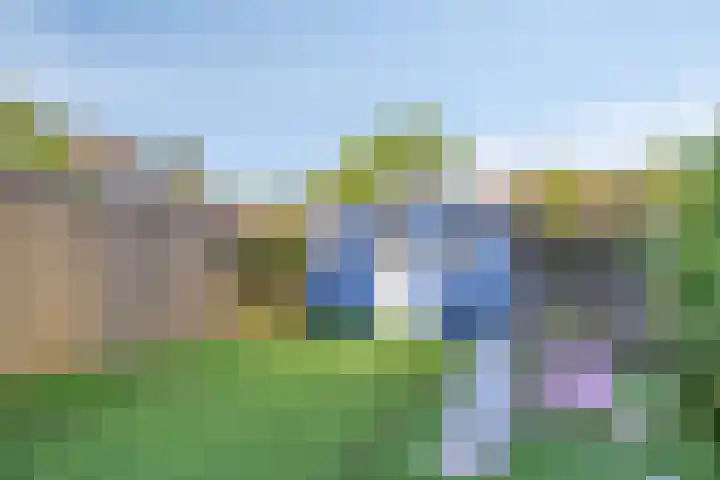 Druivengaard 14 Spijkenisse thumbnail 32