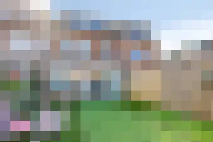 Druivengaard 14 Spijkenisse thumbnail 34