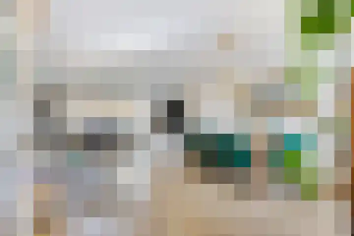 Druivengaard 14 Spijkenisse thumbnail 4