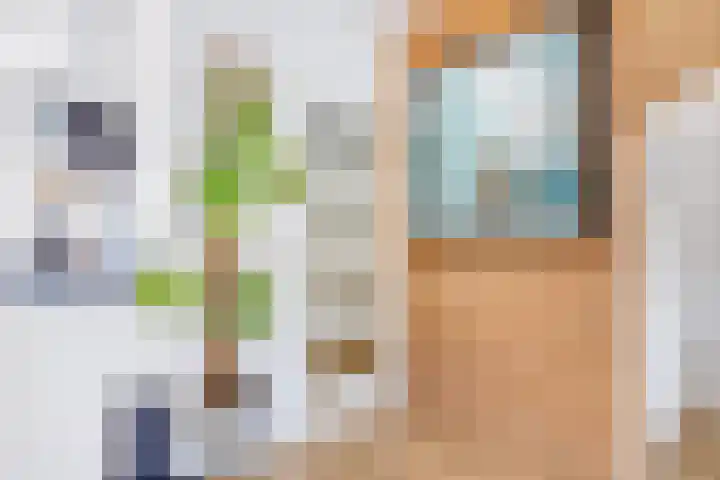 Druivengaard 14 Spijkenisse thumbnail 9