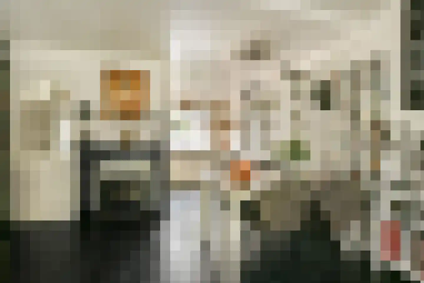 Druivengaard 41 Spijkenisse thumbnail 10