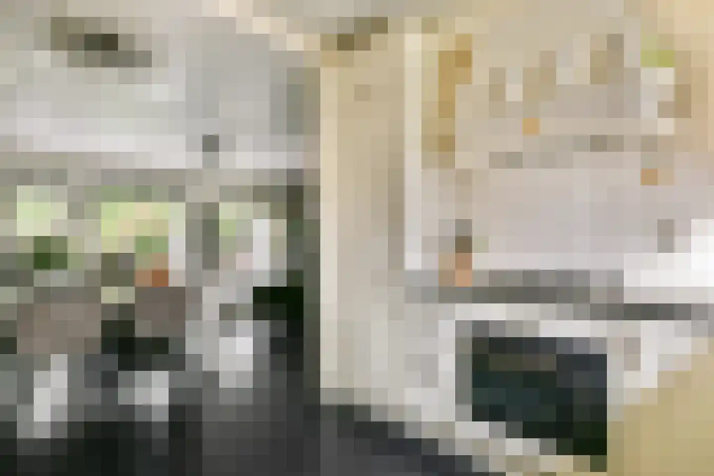 Druivengaard 41 Spijkenisse thumbnail 11