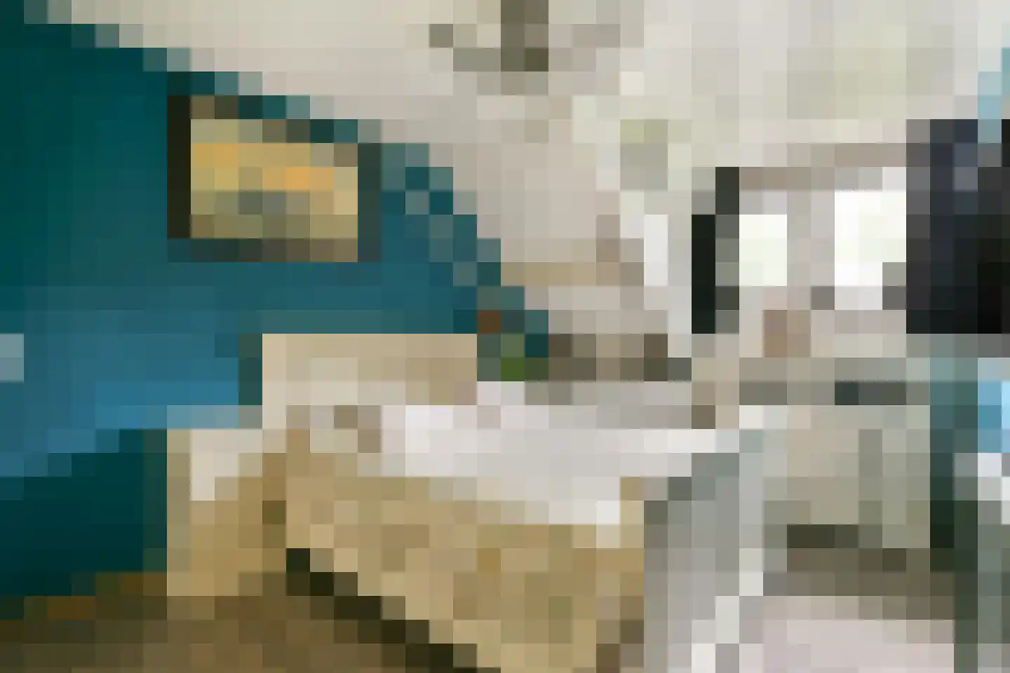 Druivengaard 41 Spijkenisse thumbnail 12