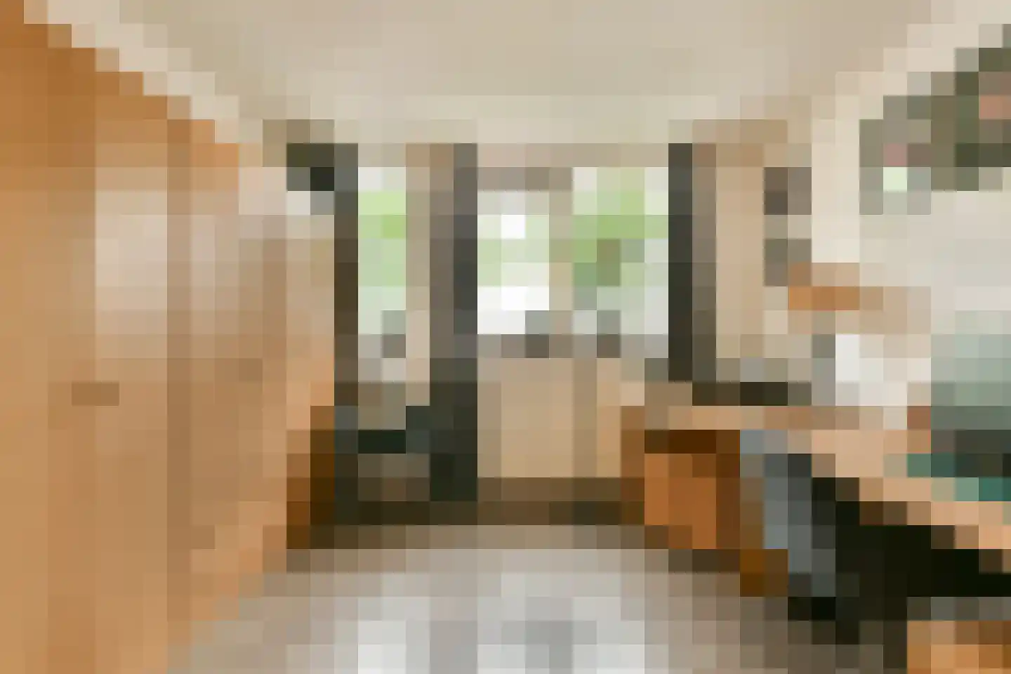Druivengaard 41 Spijkenisse thumbnail 14