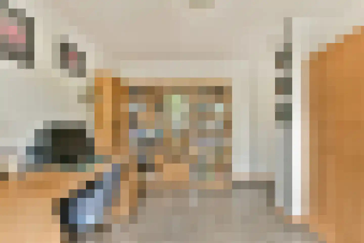 Druivengaard 41 Spijkenisse thumbnail 15