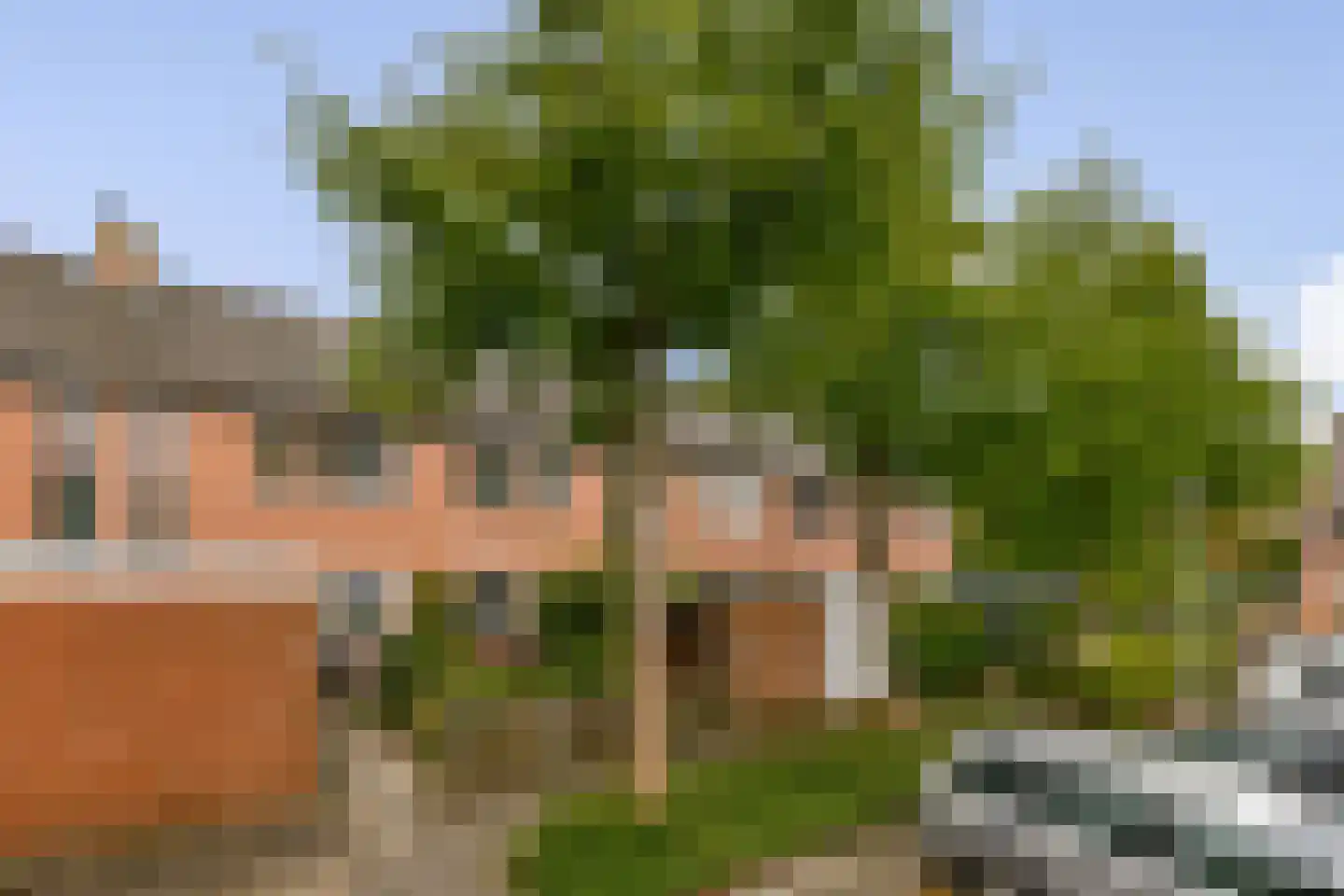 Druivengaard 41 Spijkenisse thumbnail 22