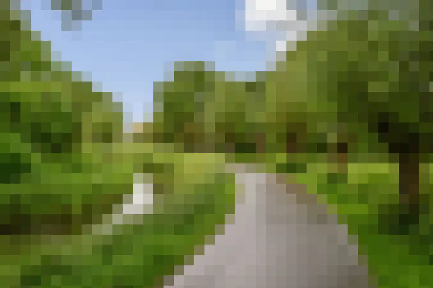 Druivengaard 41 Spijkenisse thumbnail 23
