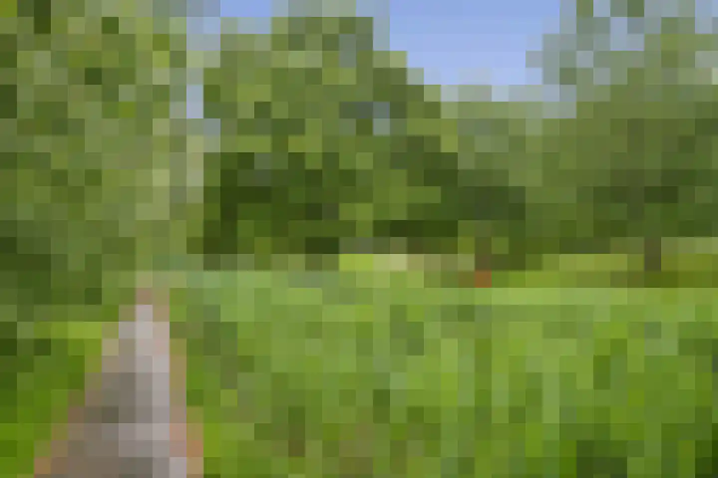 Druivengaard 41 Spijkenisse thumbnail 24