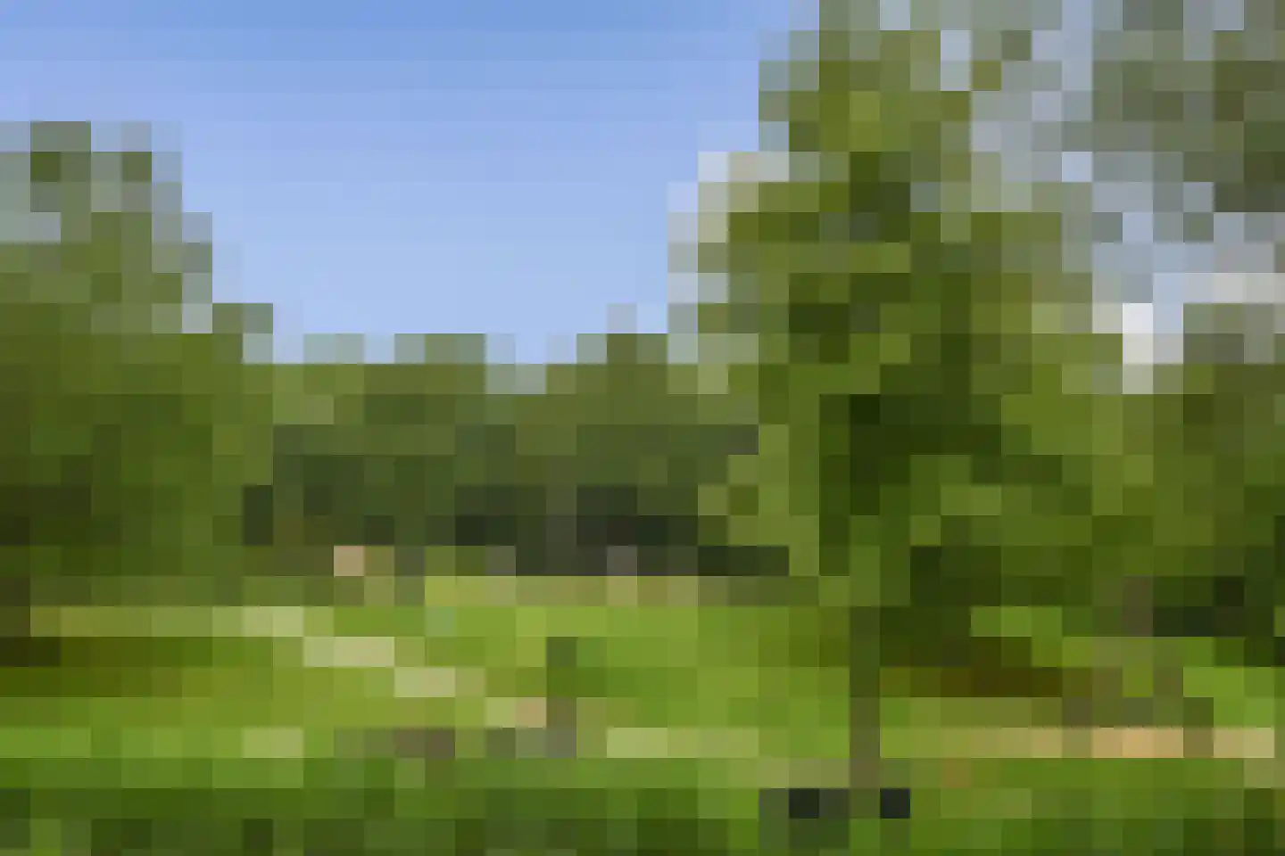 Druivengaard 41 Spijkenisse thumbnail 25