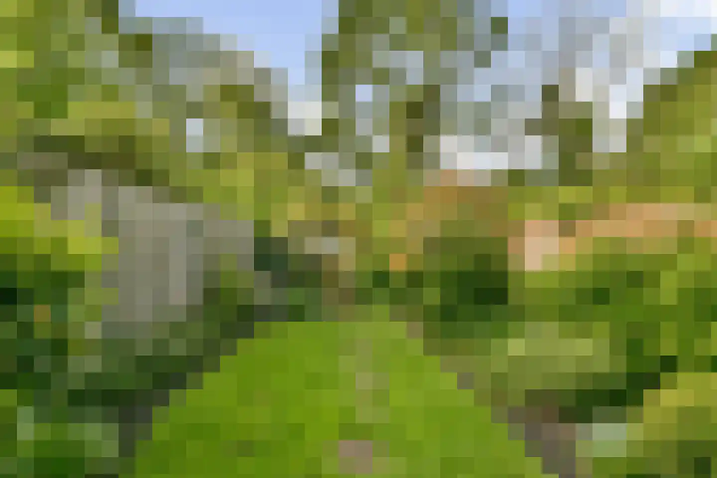 Druivengaard 41 Spijkenisse thumbnail 5