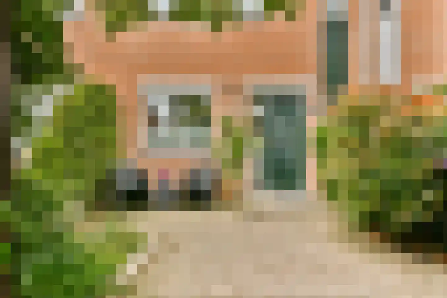 Druivengaard 41 Spijkenisse thumbnail 6